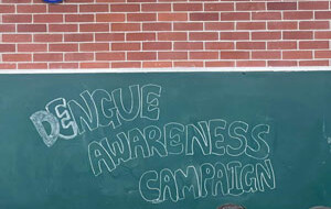 Dengue-Awareness-Campaign-Picture-1-300